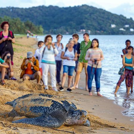 Le Petit Marin Des Salines A 0 Metre De La Plage ルミール＝モンジョリー エクステリア 写真